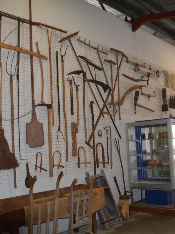 Collection exposition