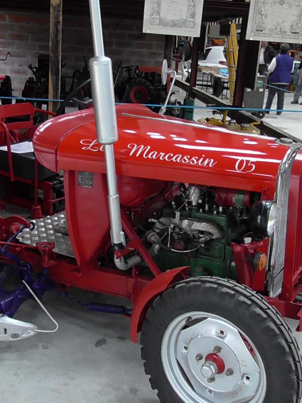 Le Marcassin